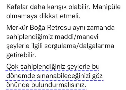 merkür boğa (4).webp