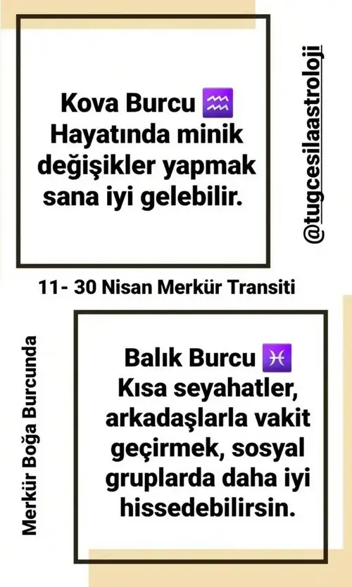 merkür boğa1 (6).webp