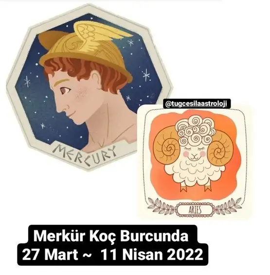 merkür koç 3 (1).webp