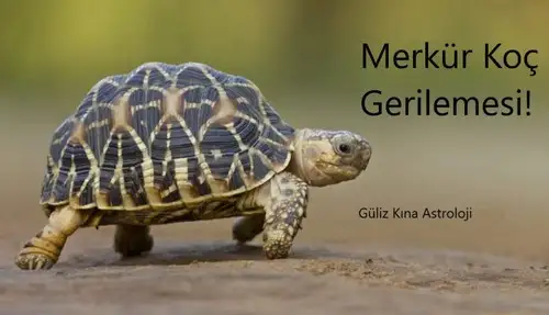Merkur-Koc-gerilemesi-1-1024x512.webp