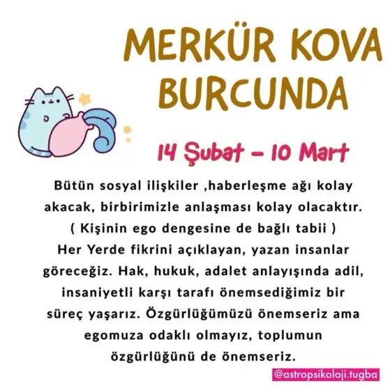 merkur kova (1).webp