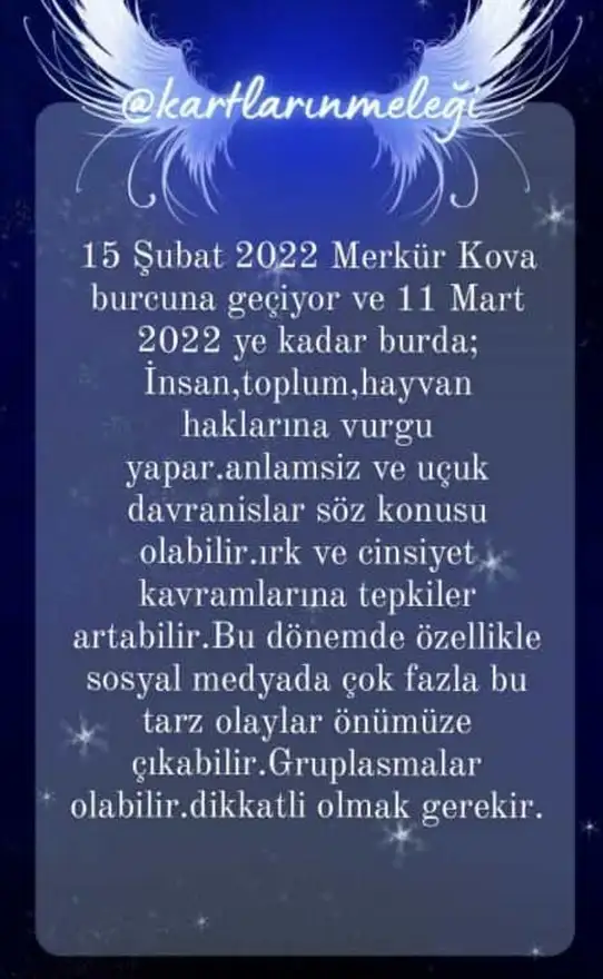 merkur kova 4.webp