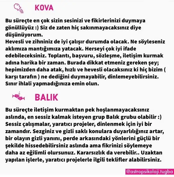 merkur kova (8).webp
