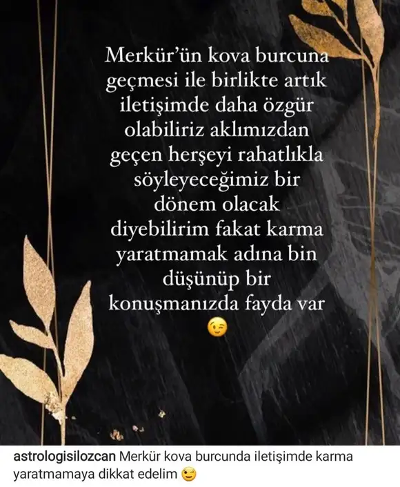 merkur kova3.webp