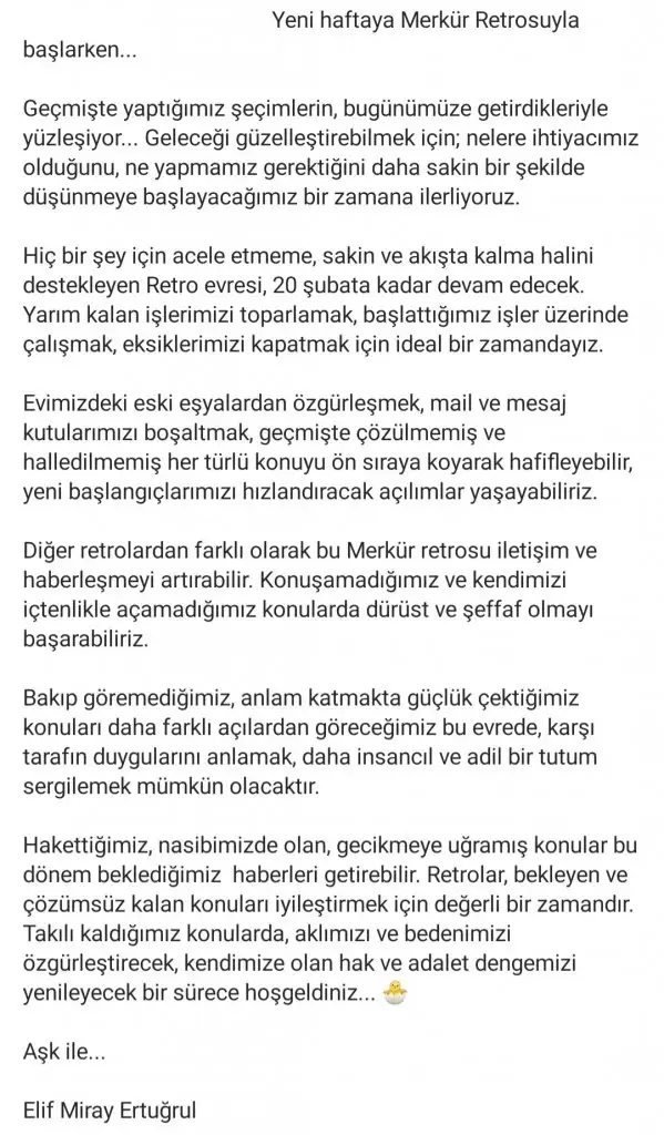 merkur.webp