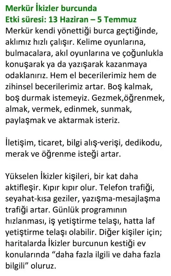 merkur.webp