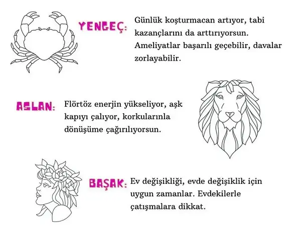 merkür yay (6).webp