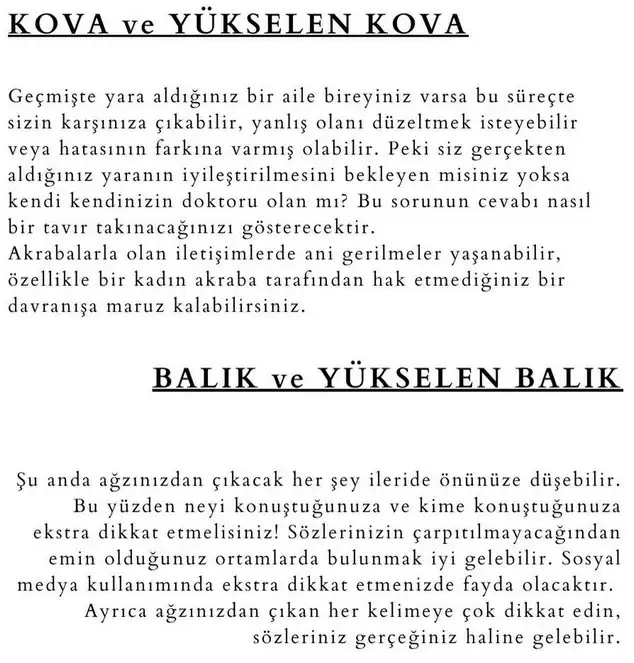 merkür12 (9).webp