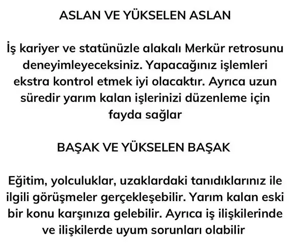 merkür13 (4).webp