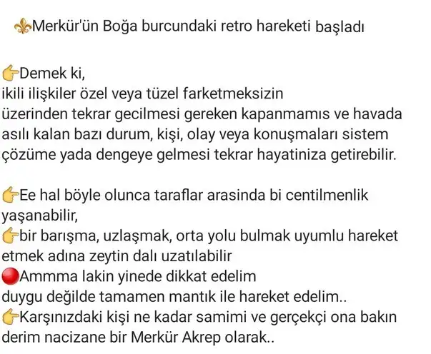 merkür20 (2) - Kopya.webp