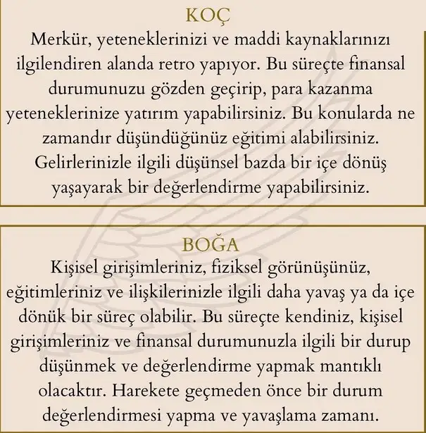 merkür36 (2).webp