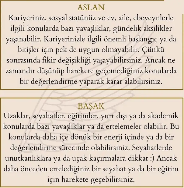 merkür36 (4).webp