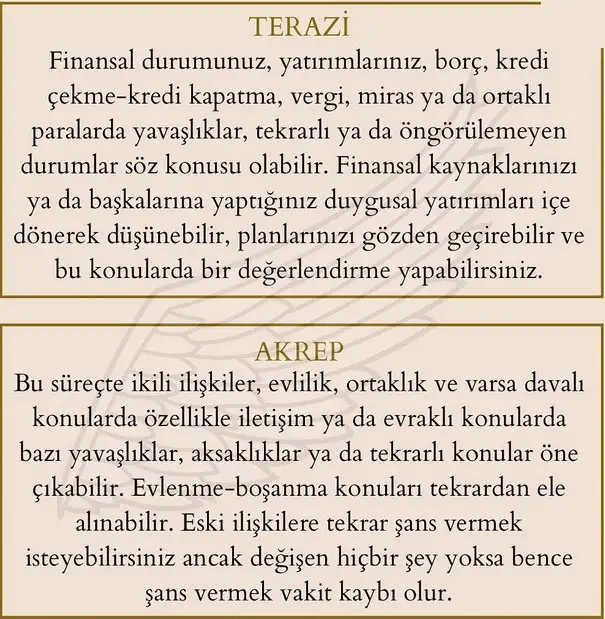merkür36 (5).webp