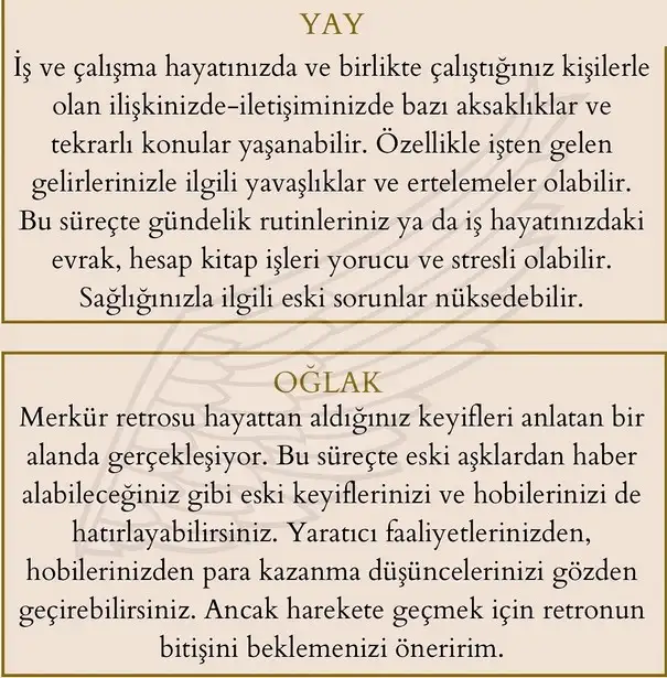 merkür36 (6).webp