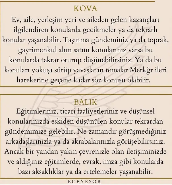 merkür36 (7).webp