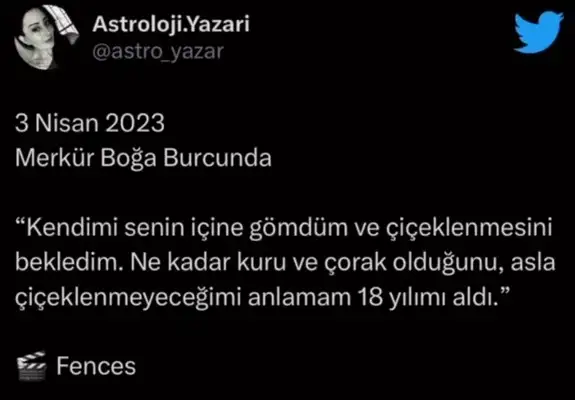 merkürboğa2.webp