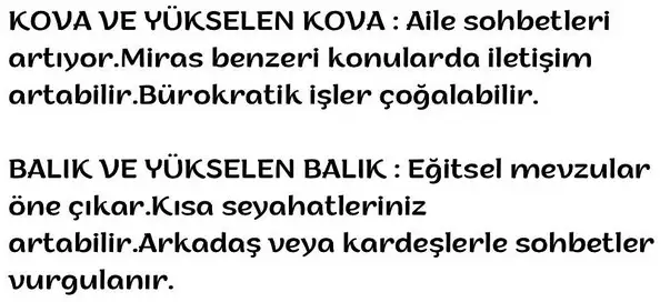 merkürboğa4 (4).webp
