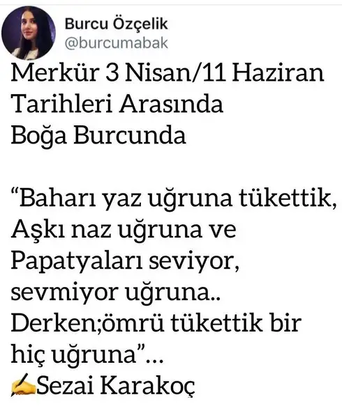 merkürboğa5.webp
