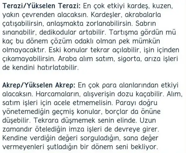 merr20 (4).webp