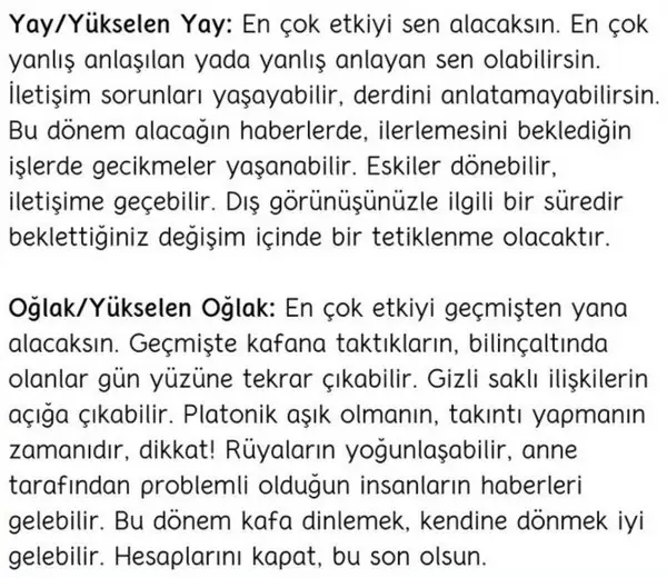 merr20 (5).webp