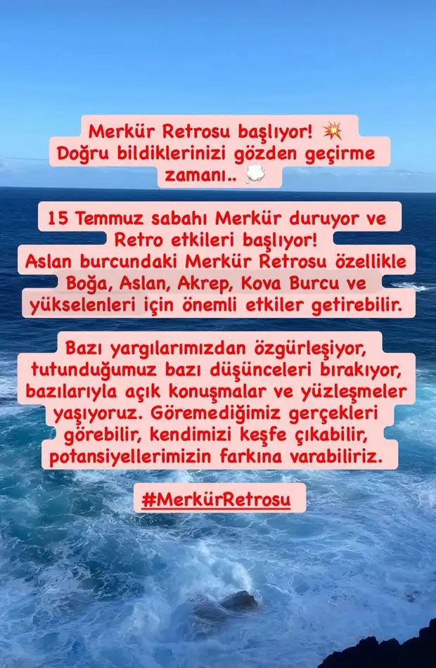 merret0 (1).webp