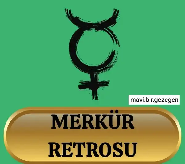 merret10 (1).webp