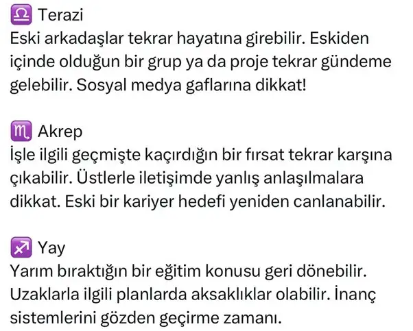 merret21 (4).webp