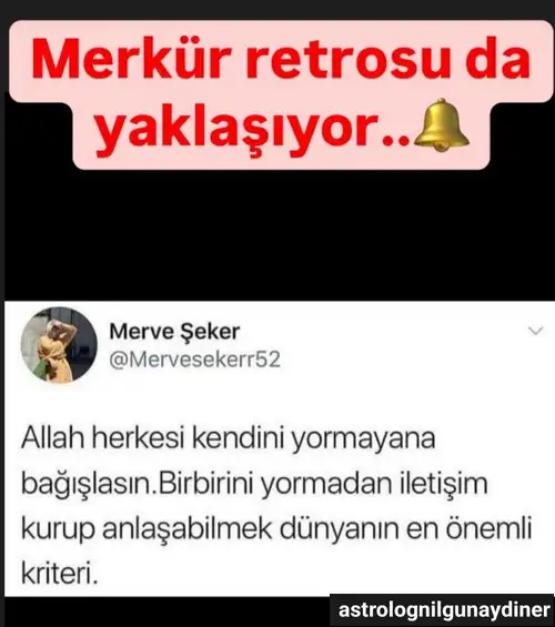 merret55.webp