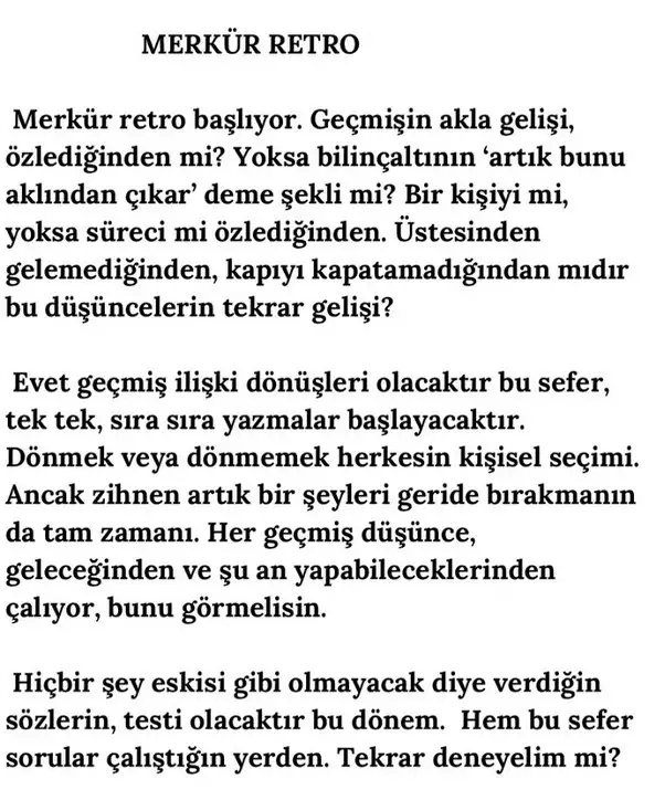 merret9 - Kopya.webp
