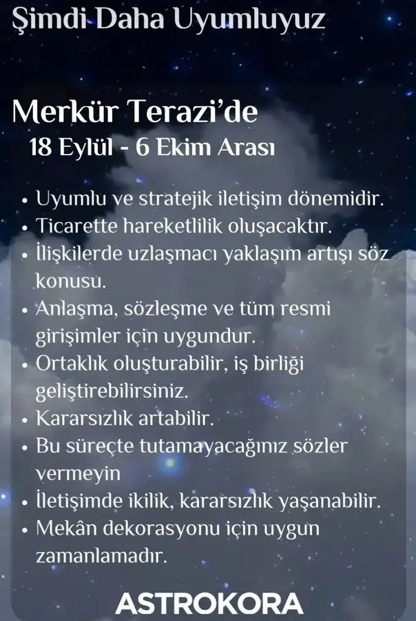 merter.webp