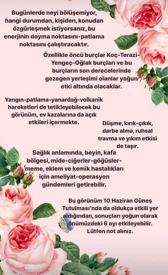merve.webp
