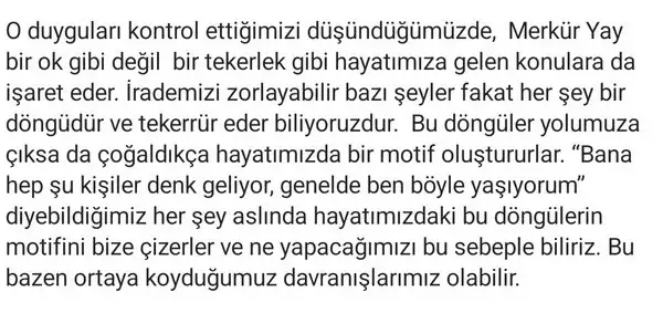 meryay0 (5) - Kopya.webp