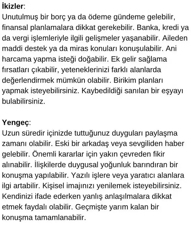 meryen1 (2).webp