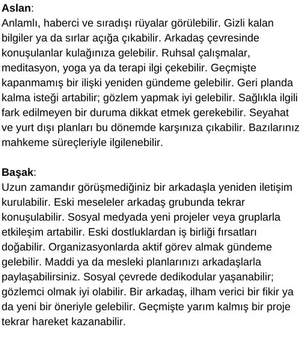 meryen1 (4).webp