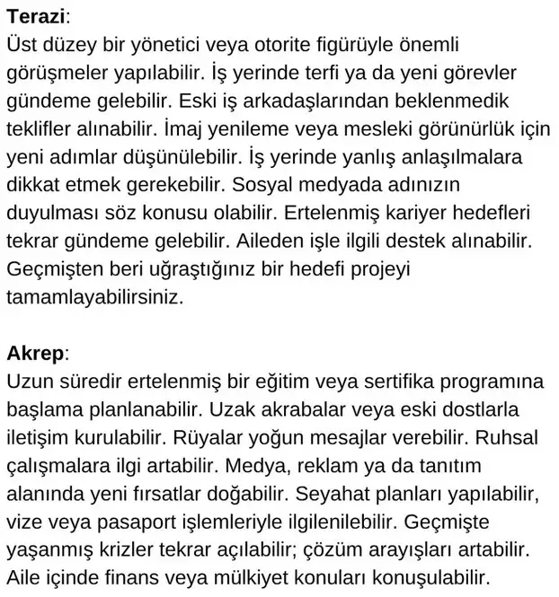 meryen1 (5).webp