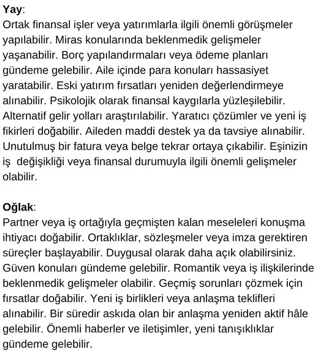 meryen1 (6).webp