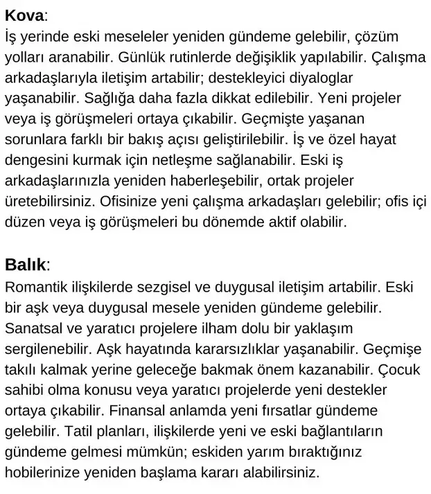 meryen1 (7).webp
