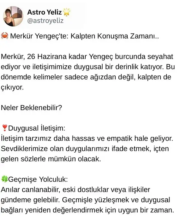 meryen22 (1).webp