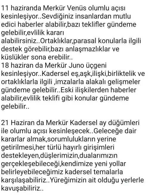 meryen6 (4).webp