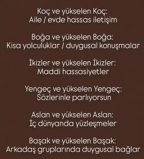 meryen7 (2).webp