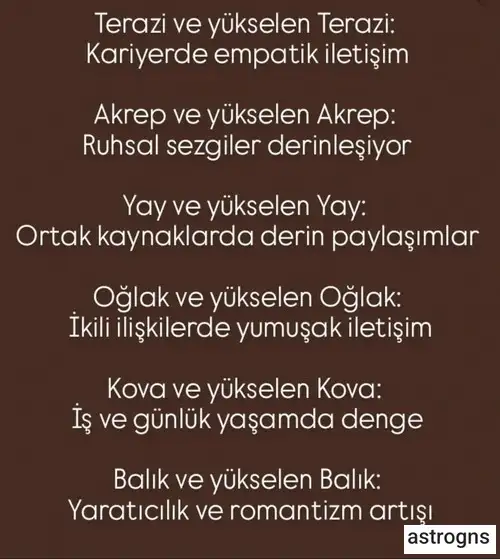 meryen7 (3).webp