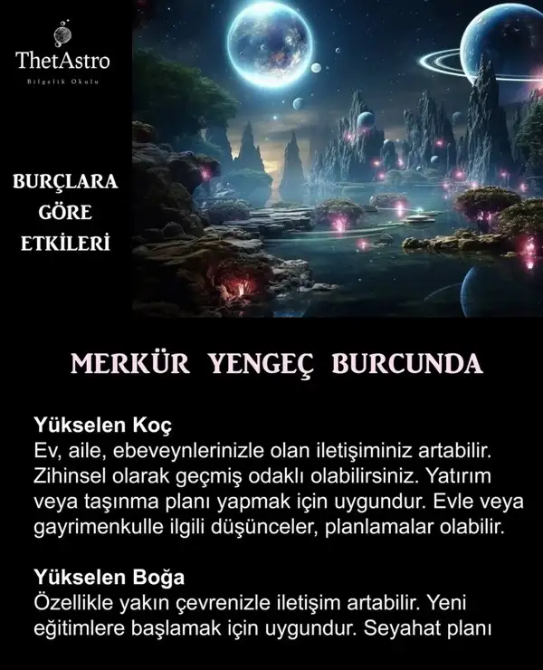 meryen77 (1).webp