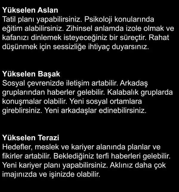 meryen77 (3).webp