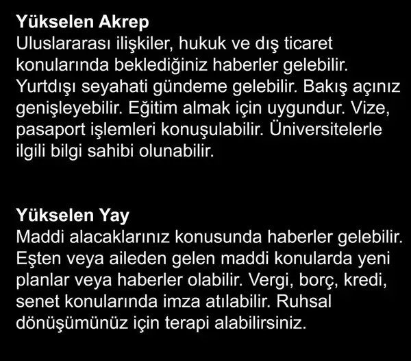 meryen77 (4).webp