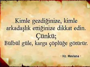 mevlana.webp