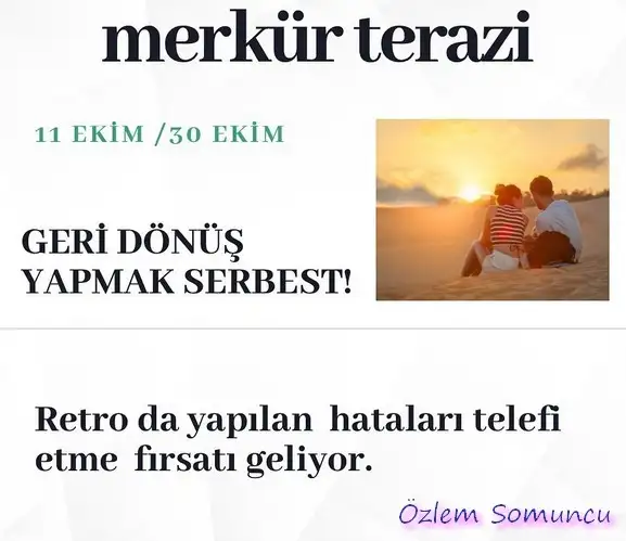 mewr ter22 (1).webp