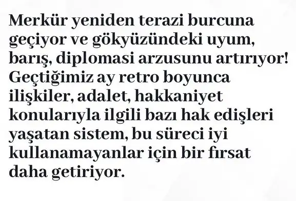 mewr ter22 (2).webp
