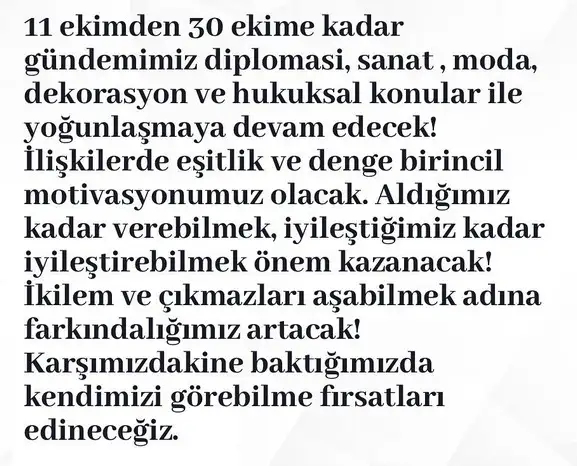 mewr ter22 (3).webp