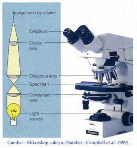 mikroskop2-278x300.jpg