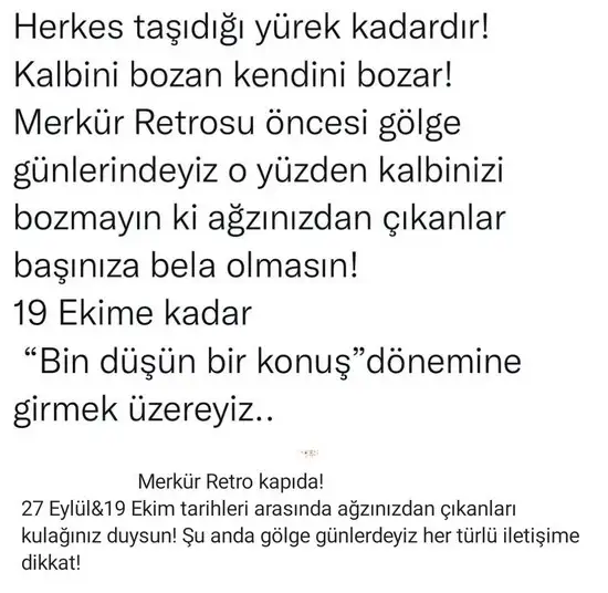 mm elf bzkrt.webp